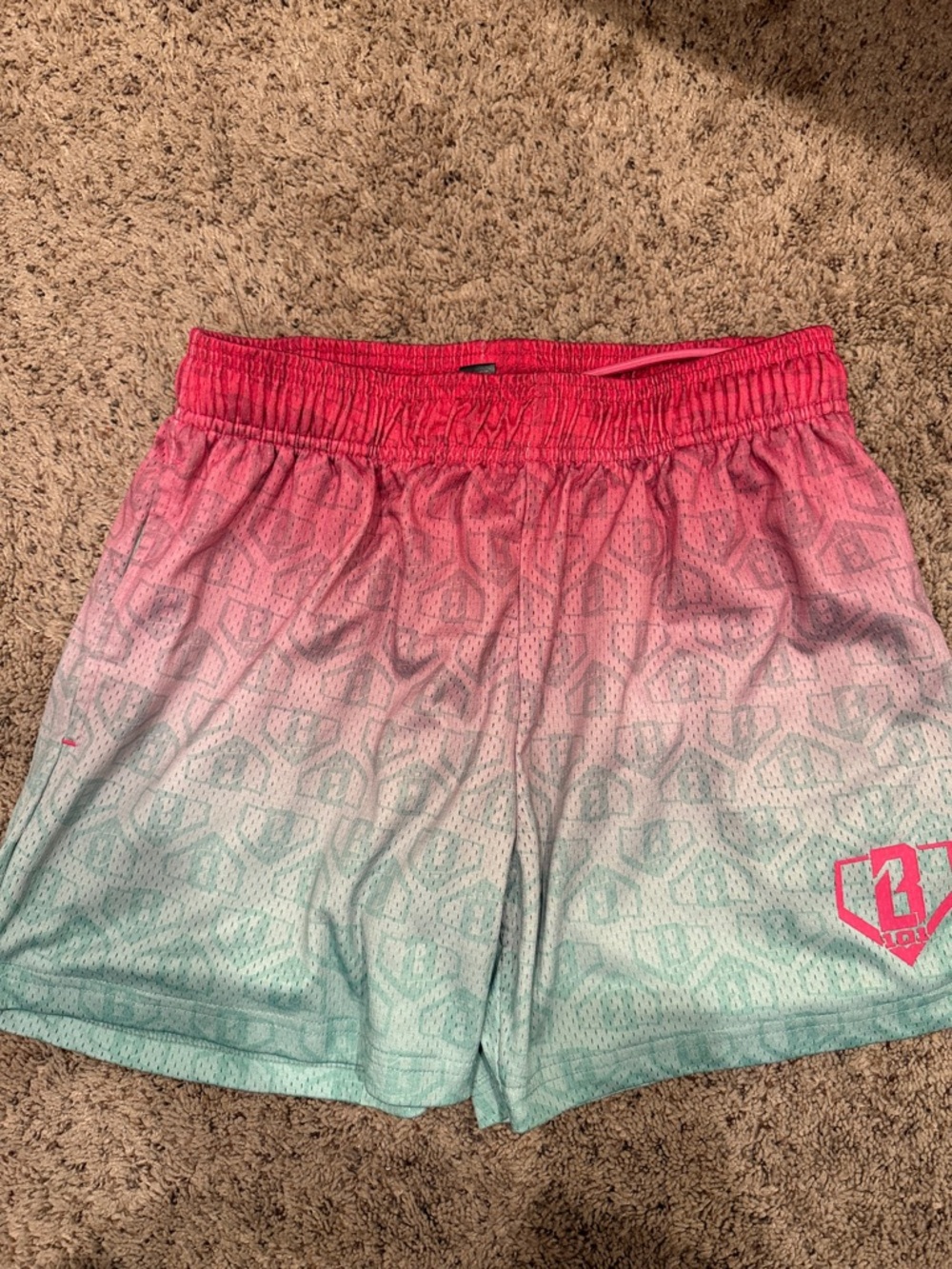 Baseball lifestyle 101 shorts